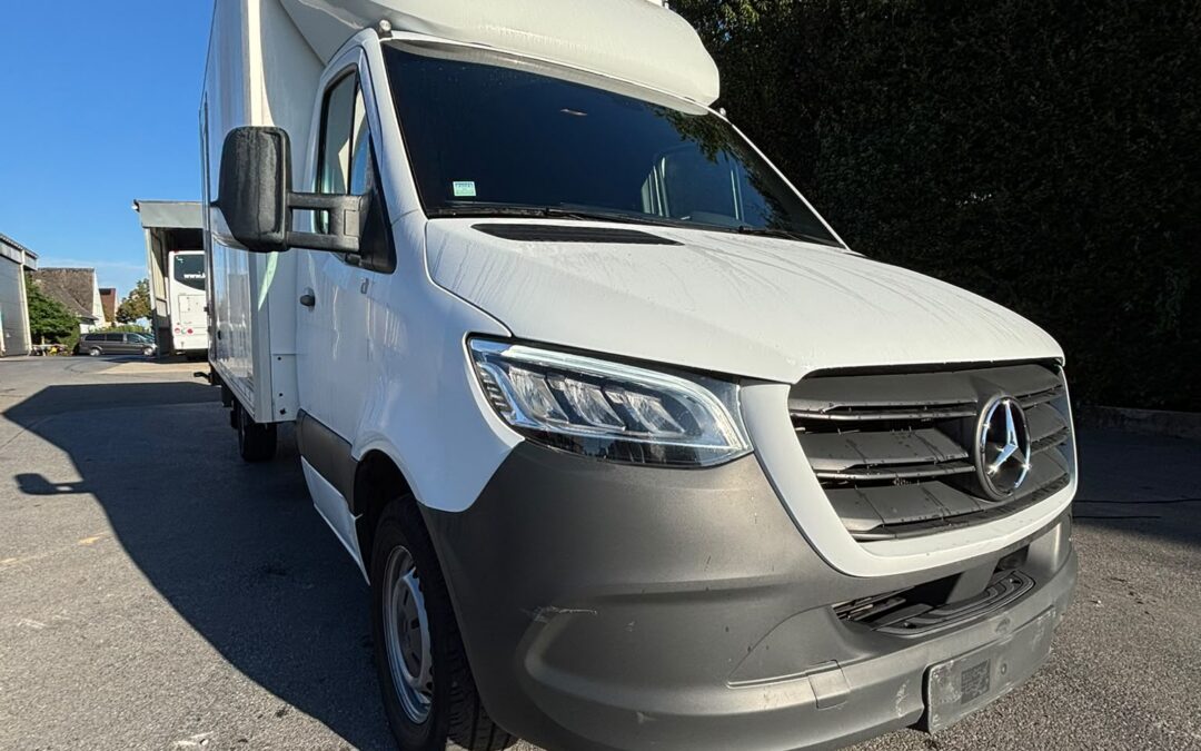 Fourgon Mercedes-Benz Sprinter 319 CDI L3 hayon